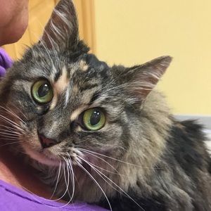 Meet your Posher, Lindsay